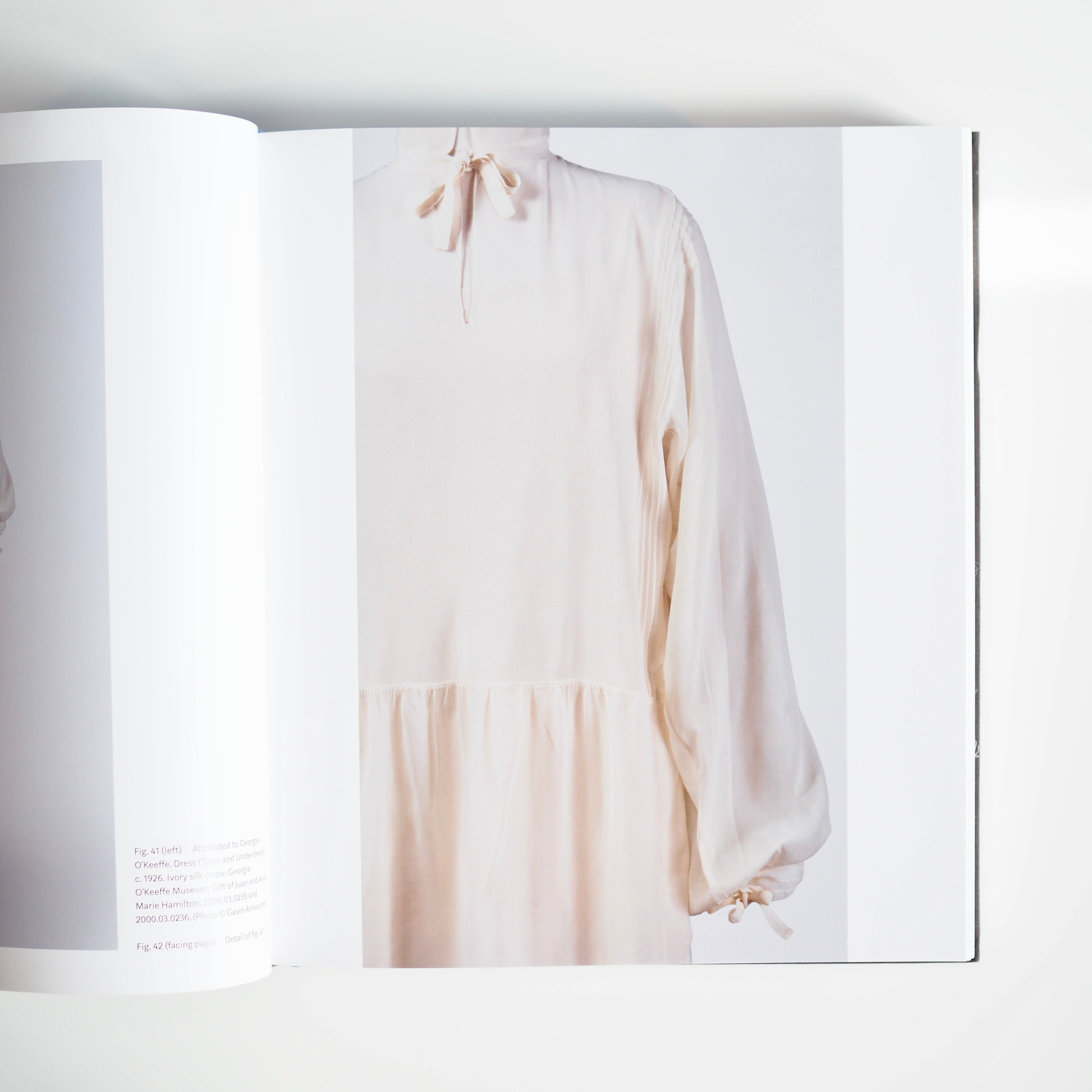 GEORGIA O'KEEFFE : LIVING MODERN [used]