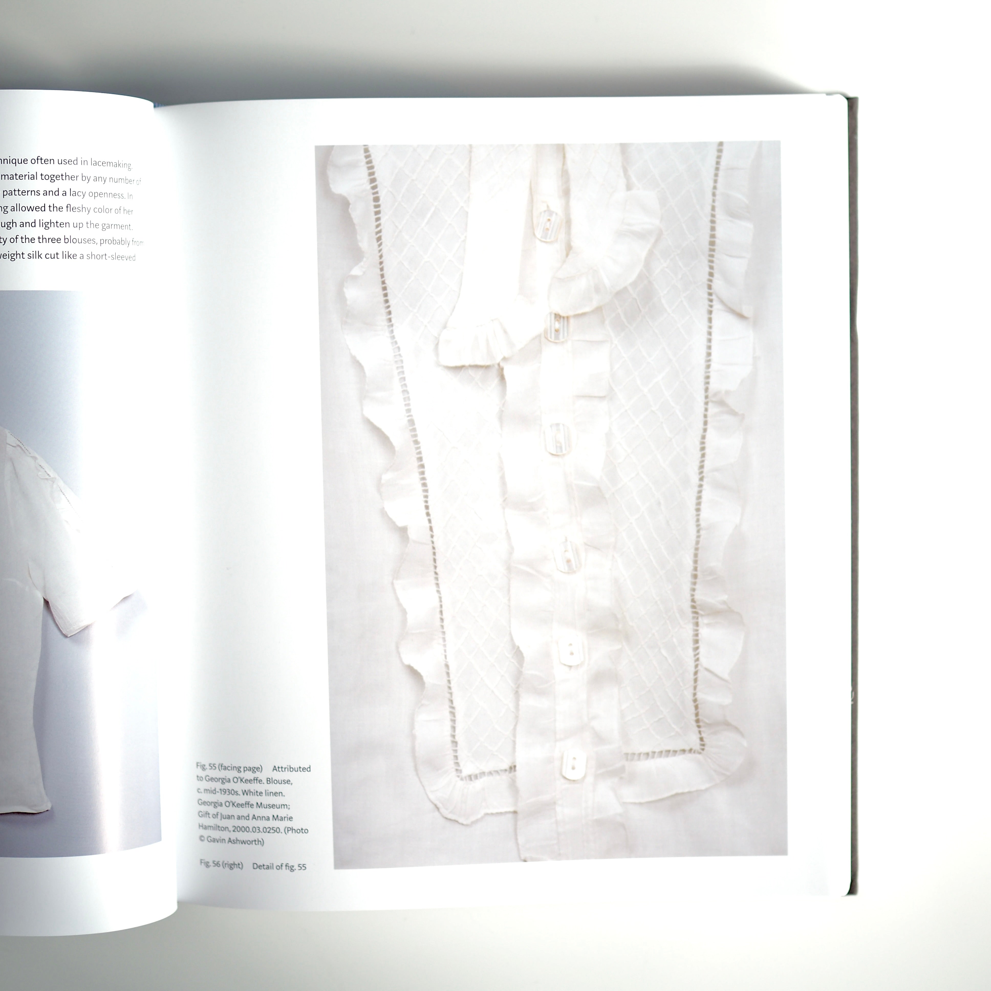 GEORGIA O'KEEFFE : LIVING MODERN [used]