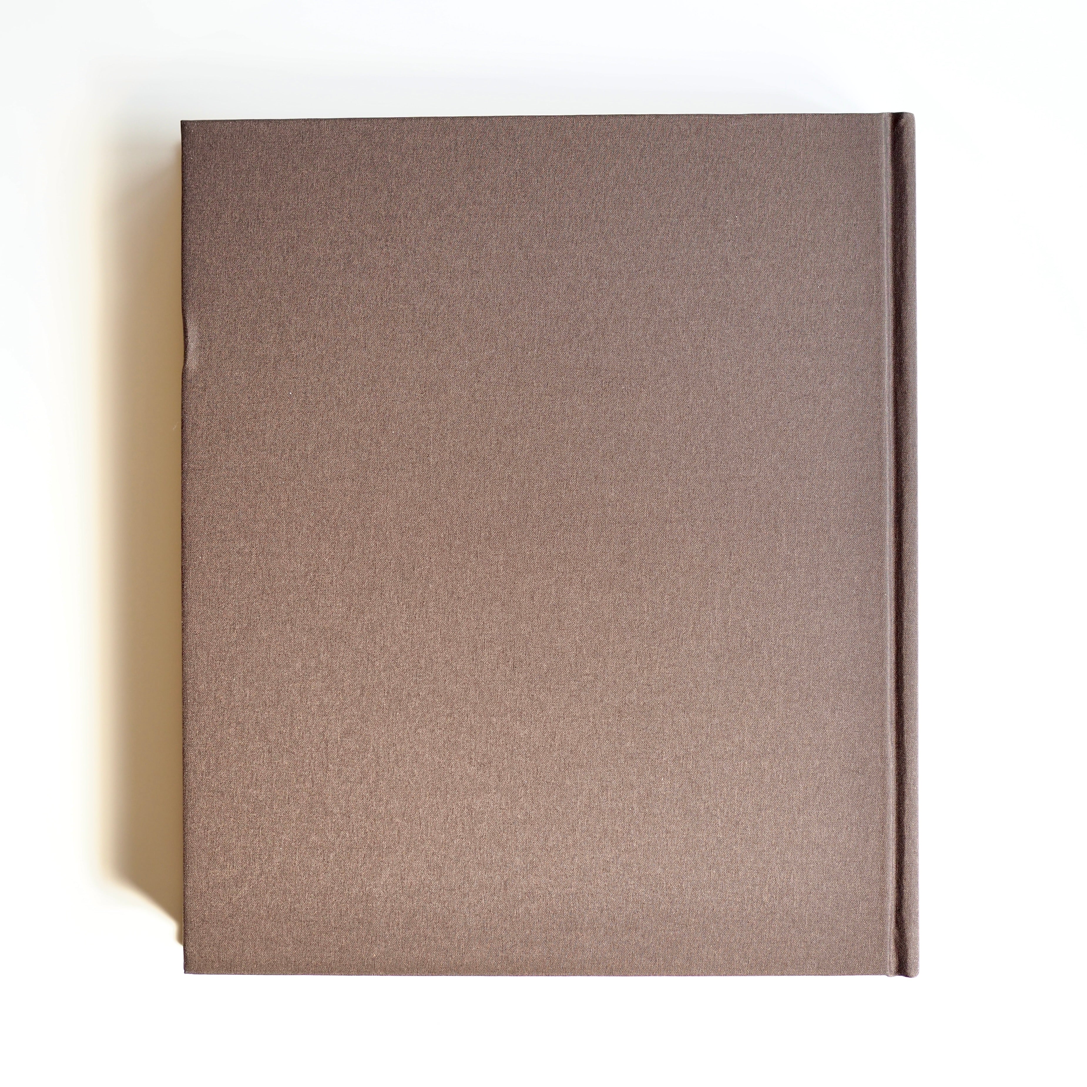GEORGIA O'KEEFFE : LIVING MODERN [used]