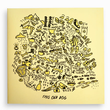 MAC DEMARCO - THIS OLD DOG [USED]