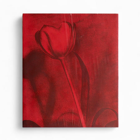 POPPY JONES [NEW]