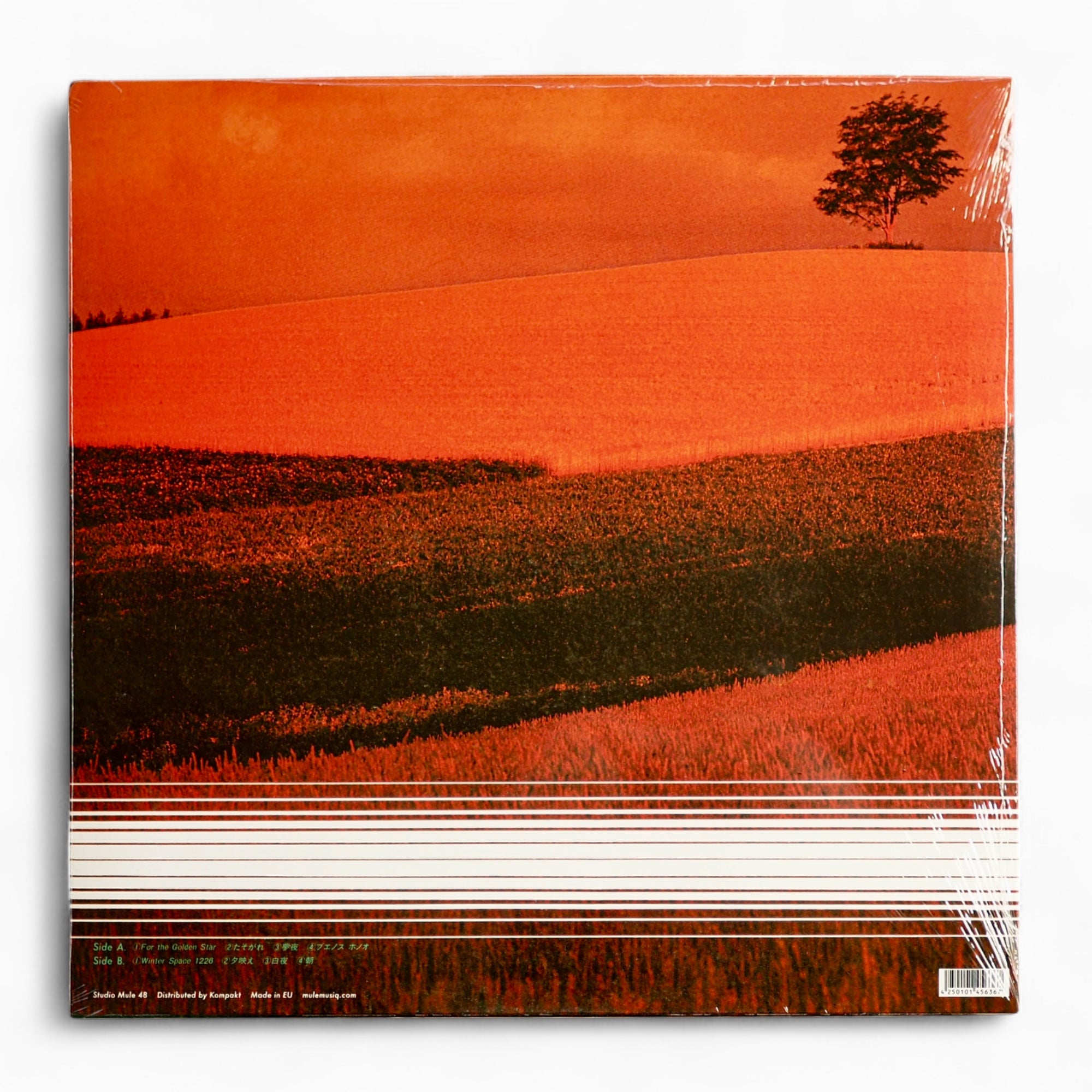 本多信介 SHINSUKE HONDA - サイレンス SILENCE (reissue) [NEW]