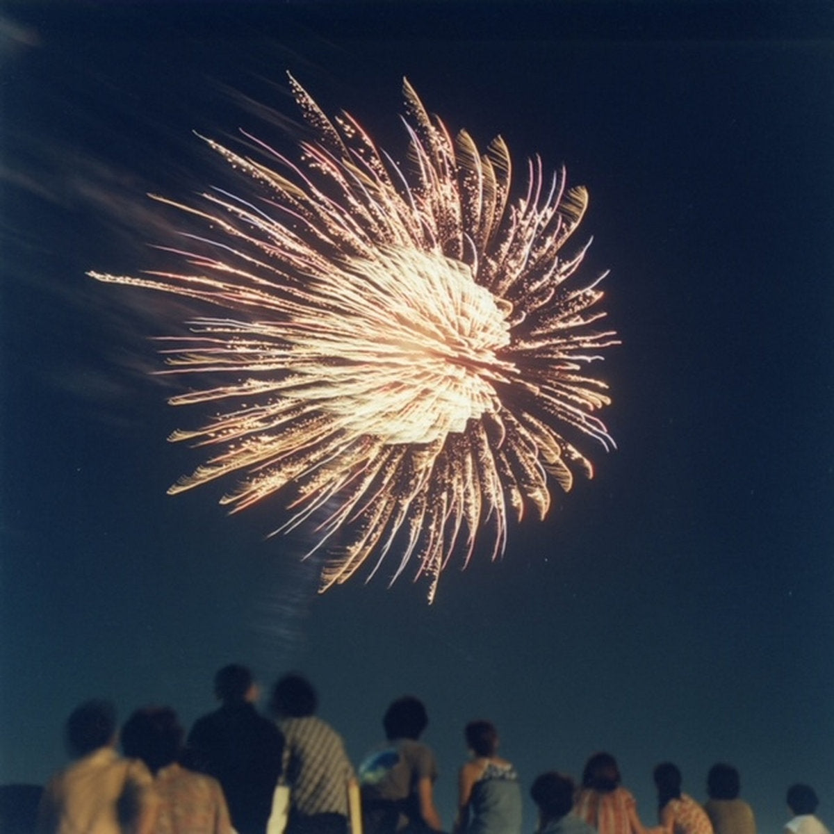Hochzeitskapelle + Japanese Friends - The Orchestra In The Sky［NEW］