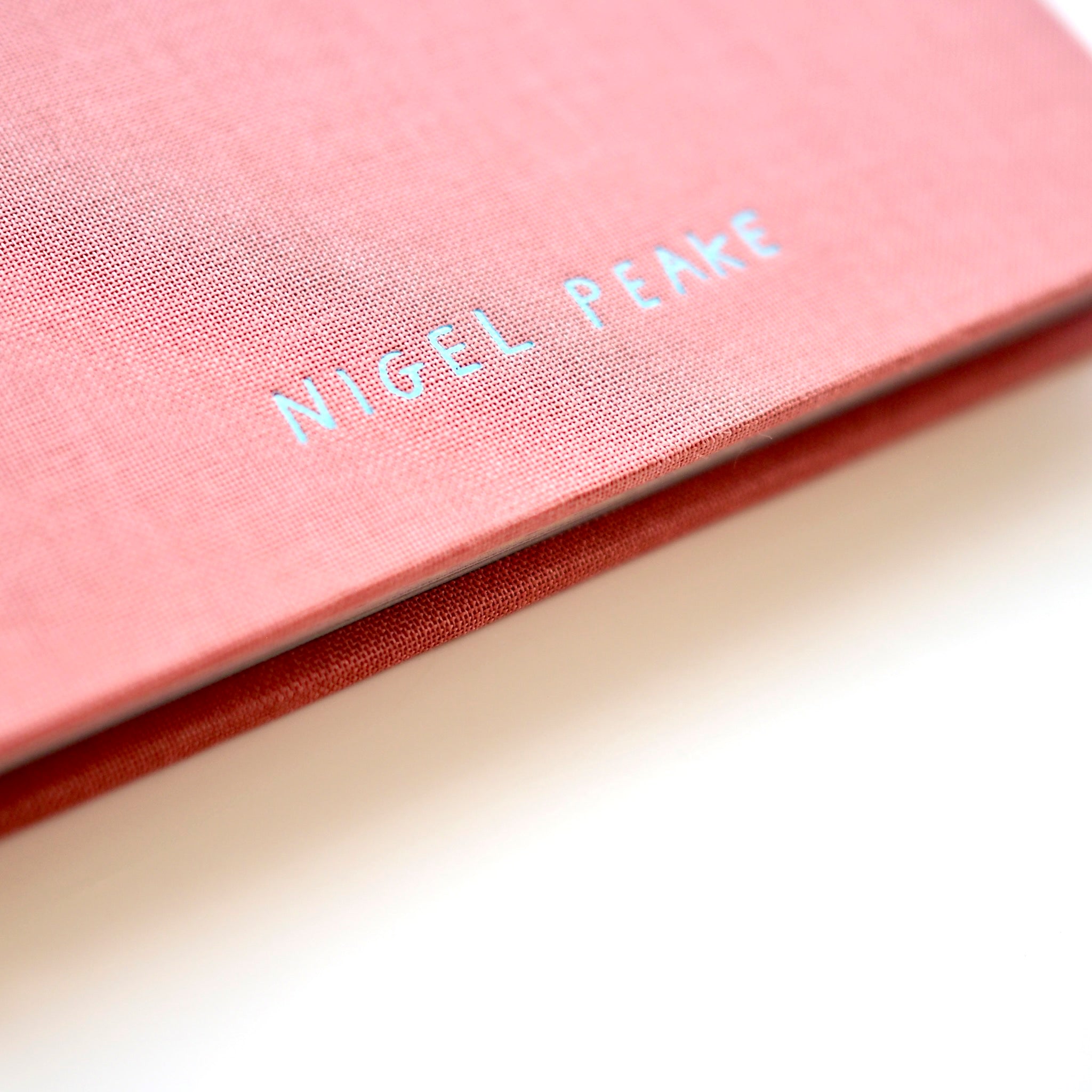 Nigel Peake -  APPUNTI SU ALCUNI DIPINTI [NEW]