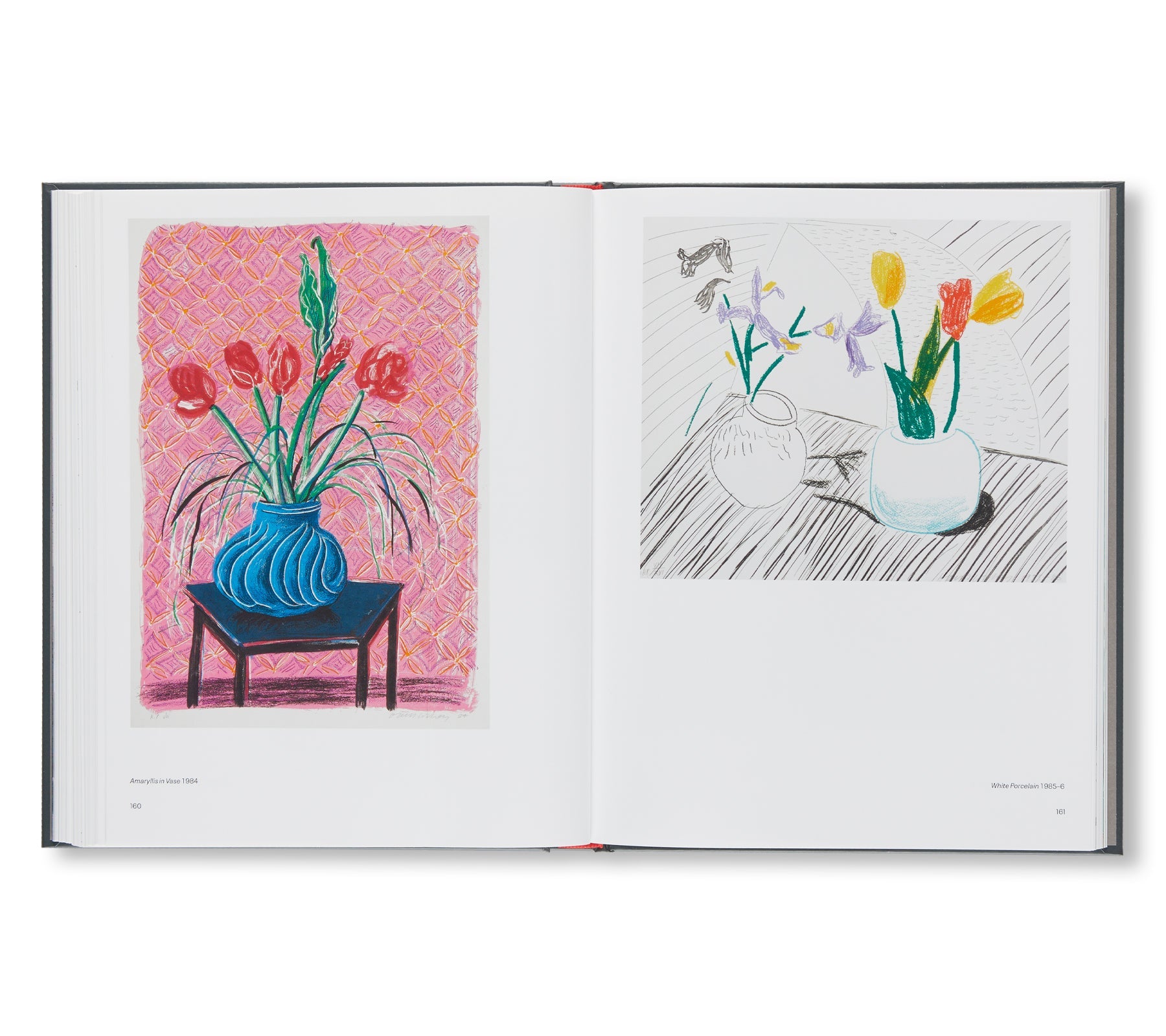 David Hockney - MOVING FOCUS [NEW］