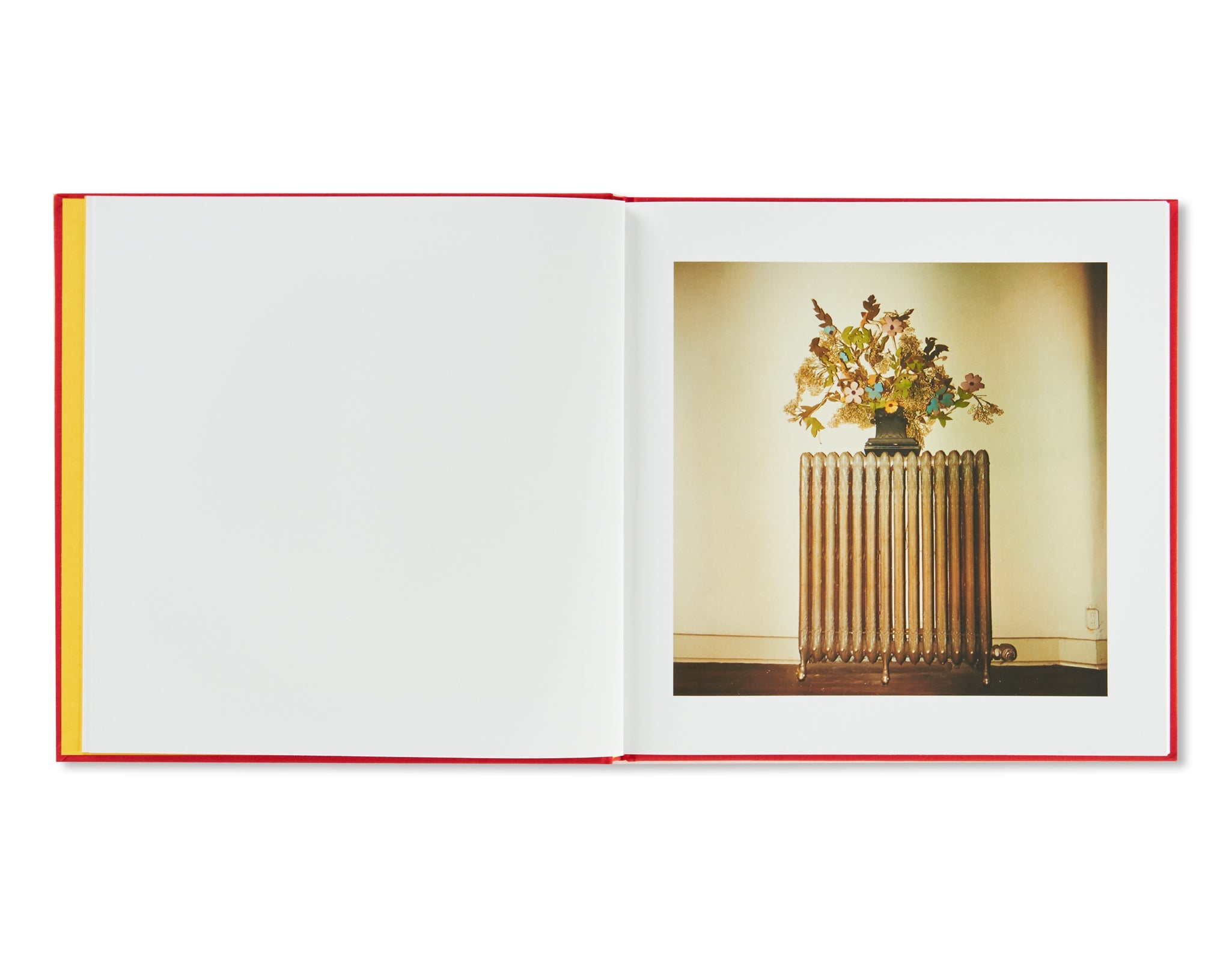 William Eggleston - 2 1/4 [NEW | 2nd restock ］