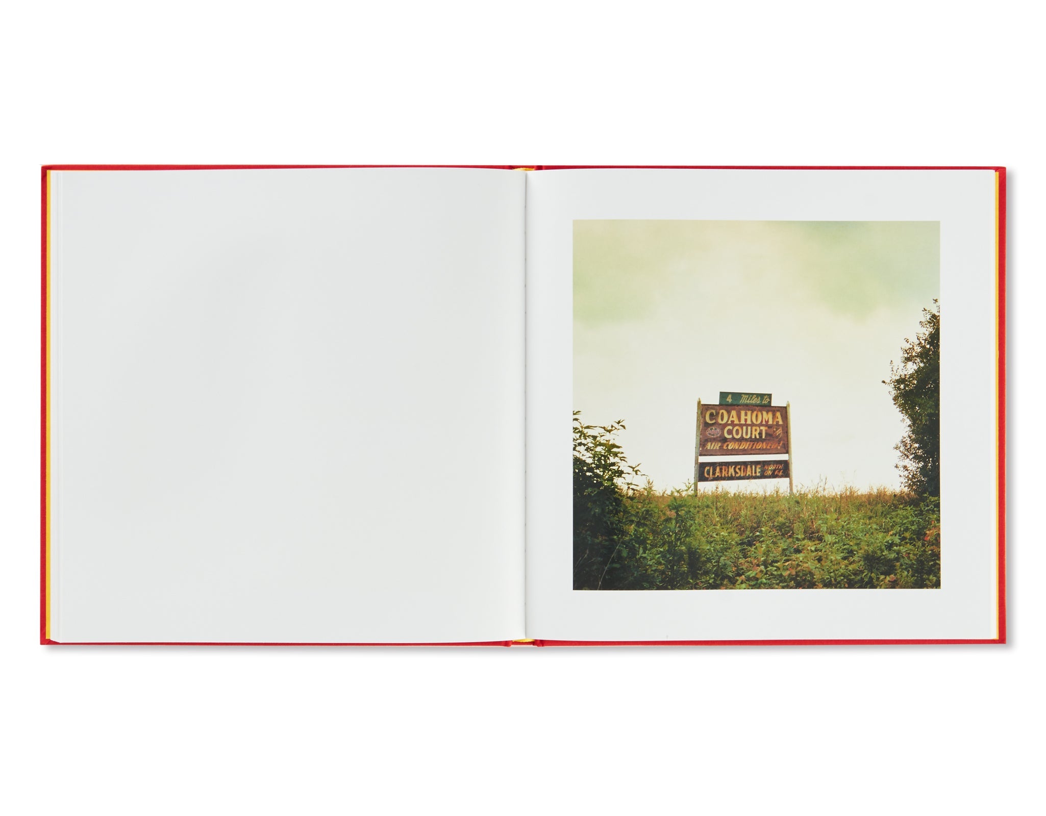 William Eggleston - 2 1/4 [NEW | 2nd restock ］