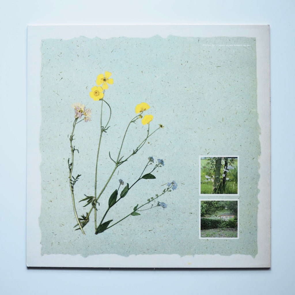 Virginia Astley - From Gardens Where We Feel Secure［used］