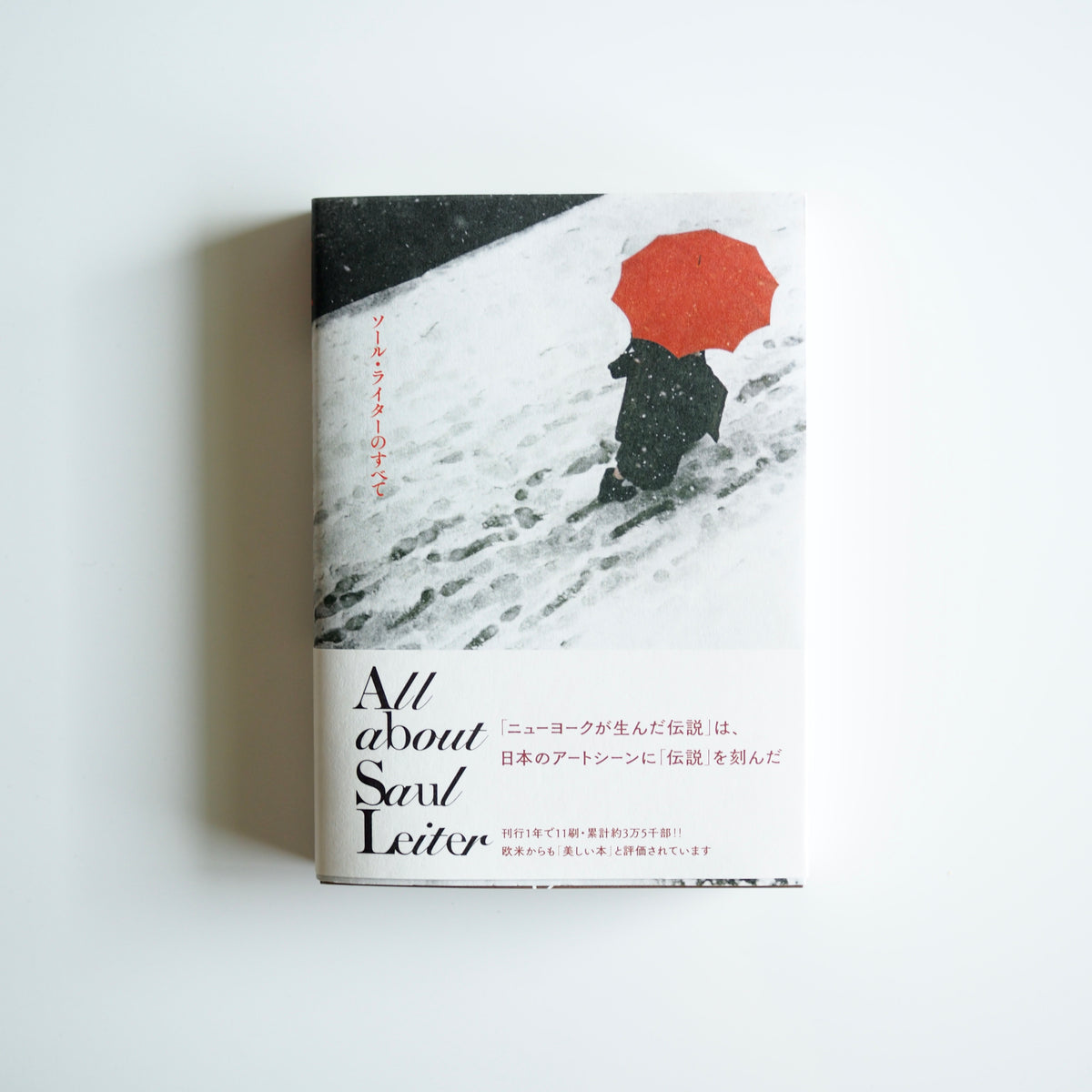 ソール・ライターのすべて All About Saul Leiter［NEW / 2nd restock