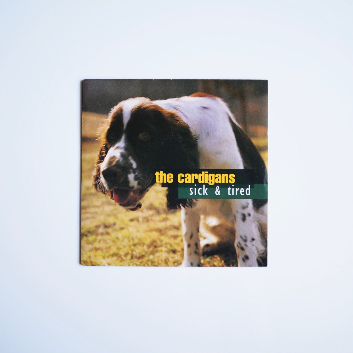 the cardigans - sick &amp; tired［USED］