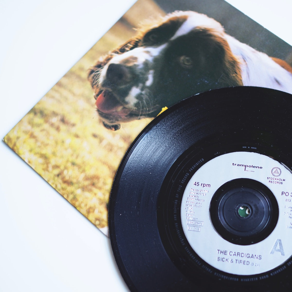 The Cardigans　Sick & Tired　レコード　カーディガンズ The Cardigans – Sick & Tired | Releases | Discogs