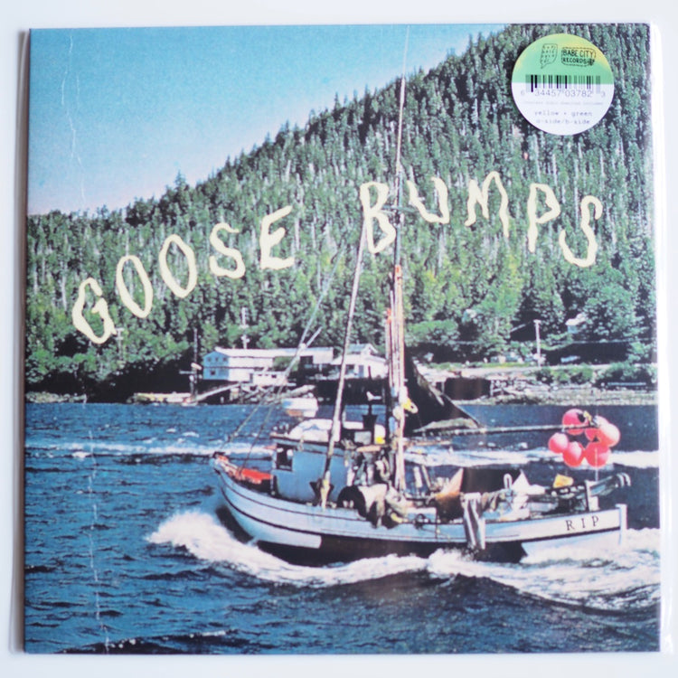 Boyscott - Goose Bumps ［NEW］