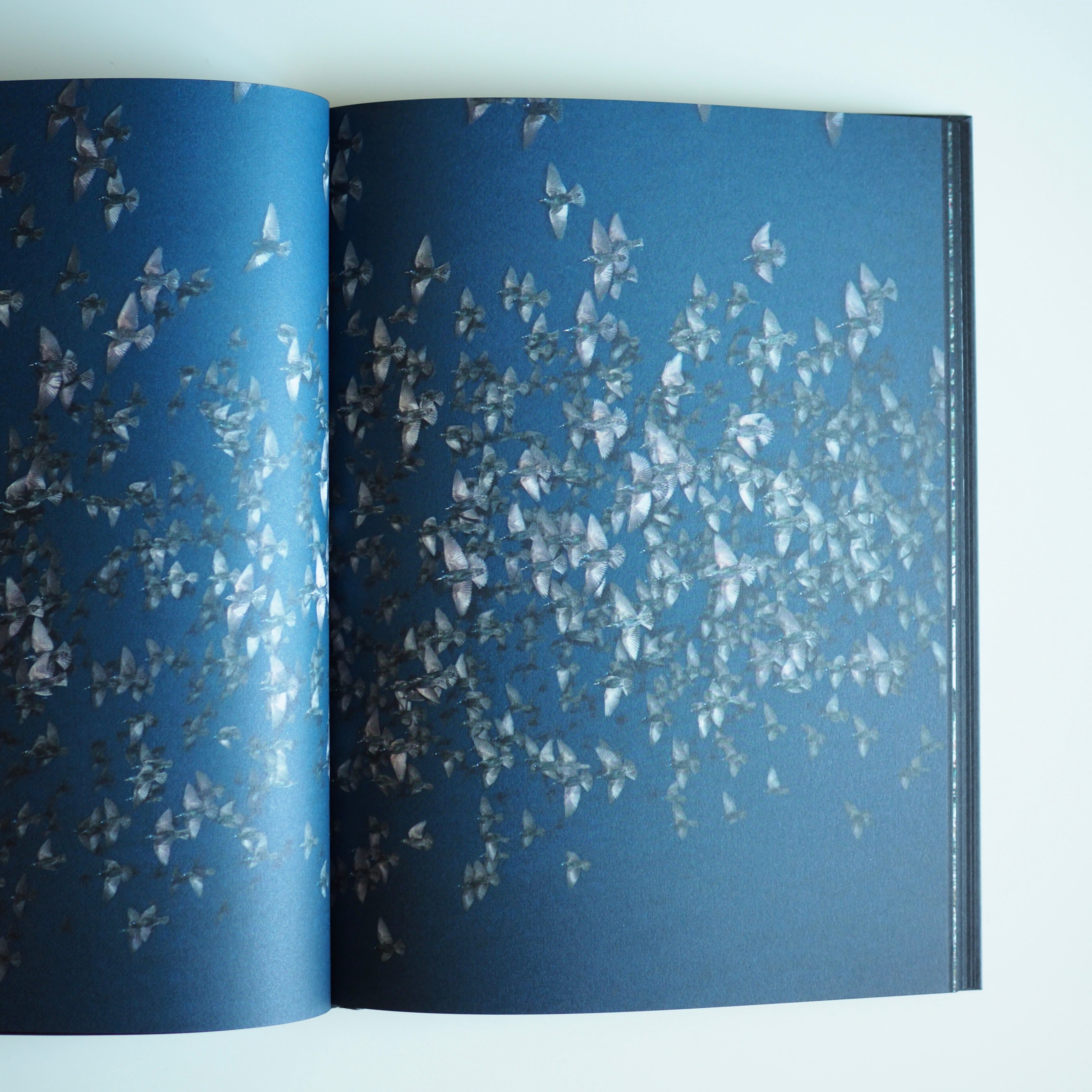 川内倫子 Rinko Kawauchi - Halo Aperture（US ver.）［NEW / SIGNED］