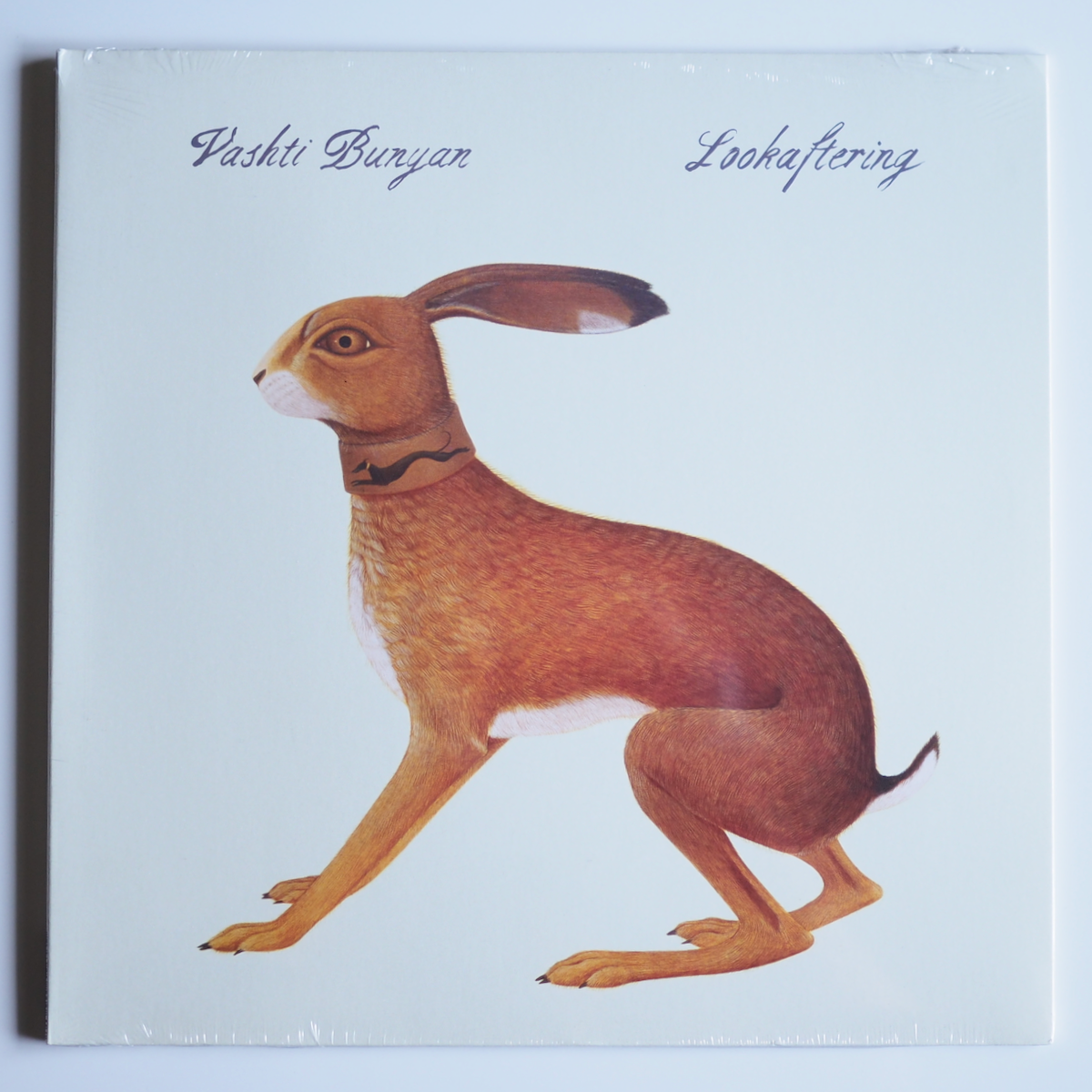 Vashti Bunyan - Lookaftering［NEW］ – rovakk musikk