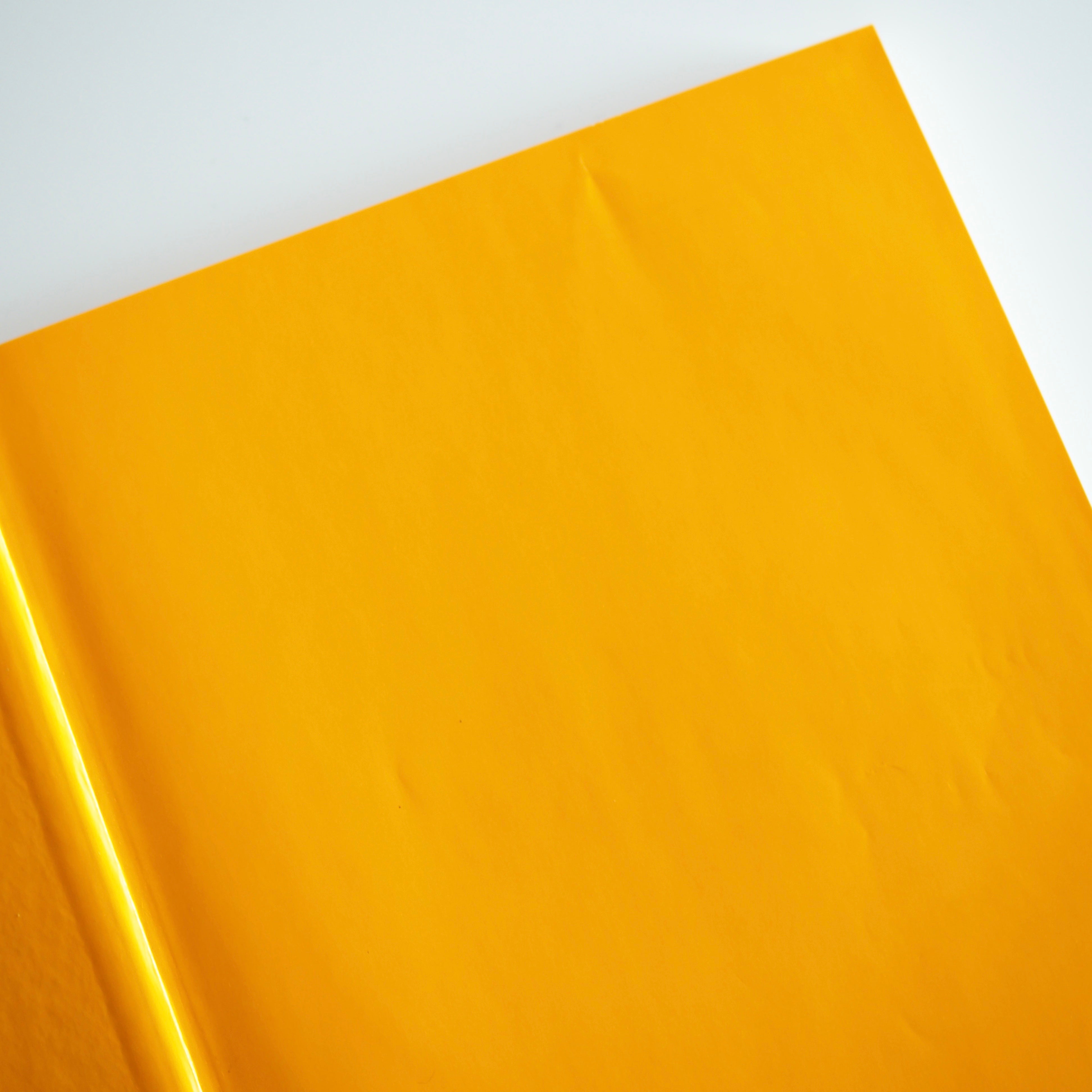 The Wings of the Crane | 50 Years of Lufthansa Design［used］