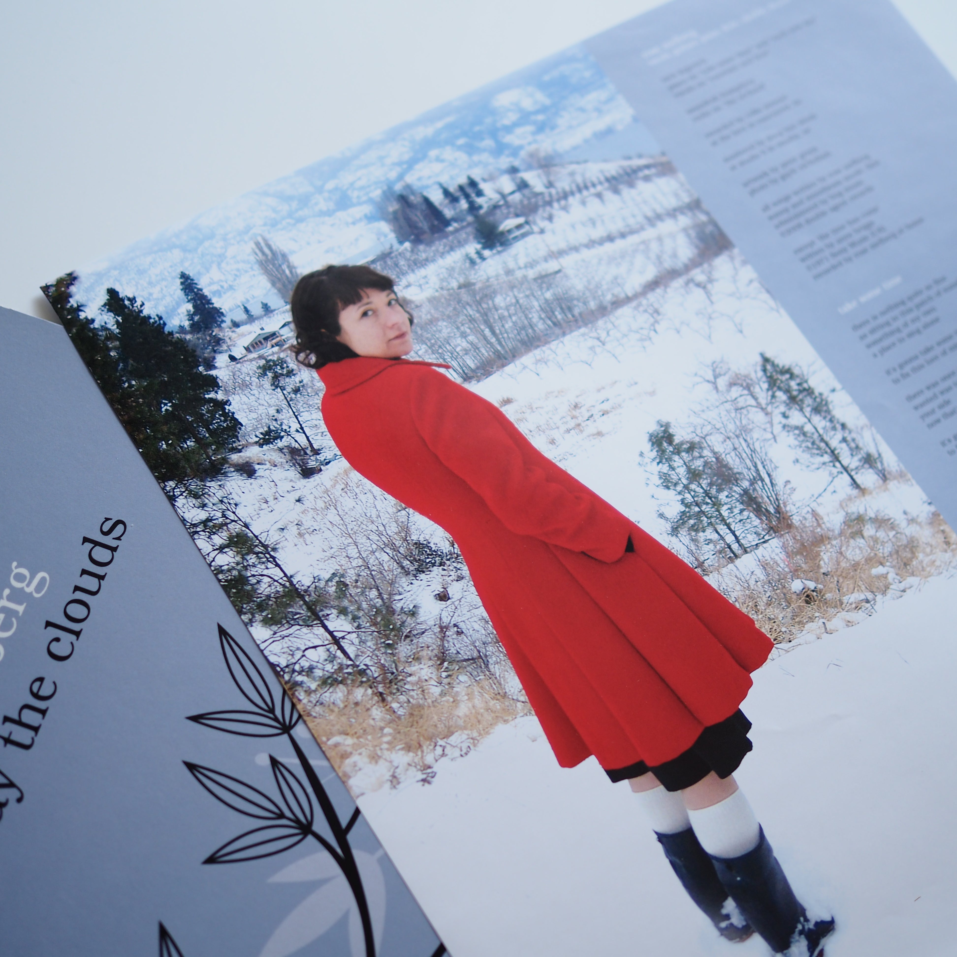 Rose Melberg - Cast Away The Clouds［used］