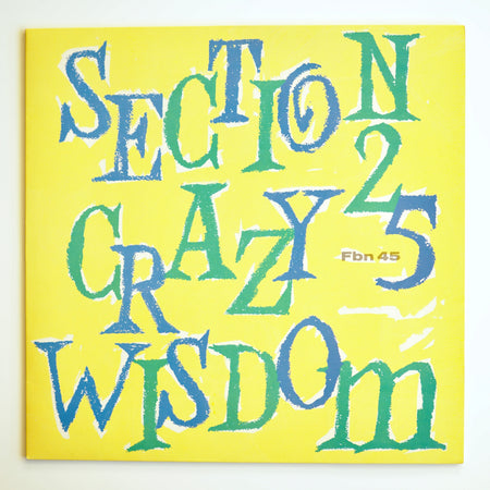 Section 25 – Crazy Wisdom［used］