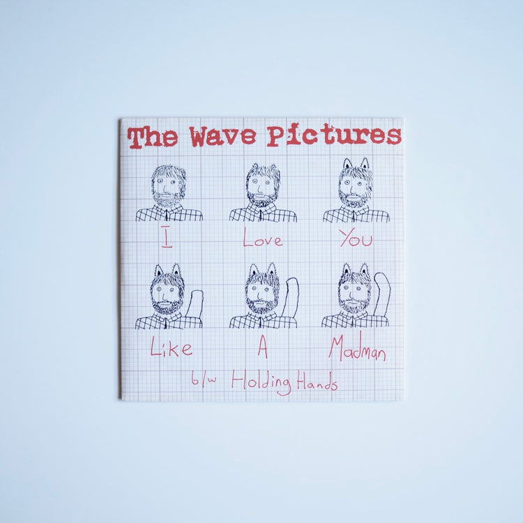The Wave Pictures - I Love You Like A Madman［used］