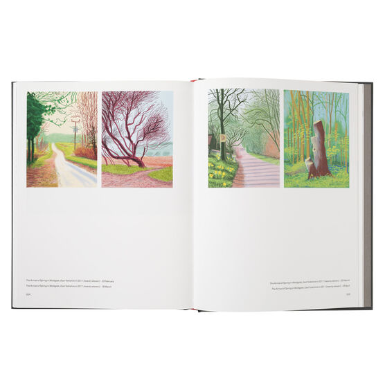 David Hockney - MOVING FOCUS [NEW］